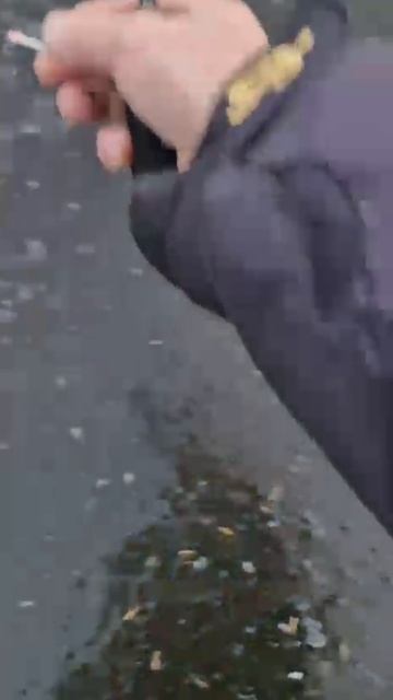 НА САХАЛИНЕ УЖЕ ЛОВЯТ КОРЮШКУ 19.11.2025