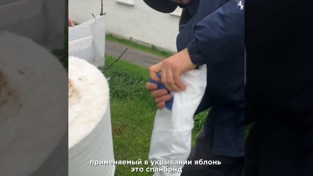 Владимир утепляется к зиме! 🌨 смотреть онлайн