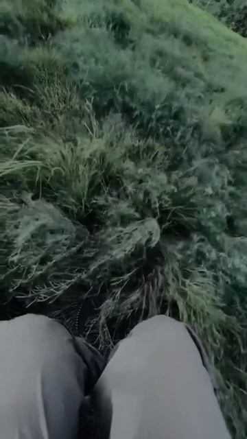 v4mp mode #ambient #sad смотреть онлайн