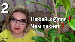 Нюхает, с@пля❗️Чем пахнет❓️