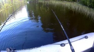 Летняя рыбалка на удочку! Клёвые поклёвки леща! Рыбалка в Карелии! #рыбалка