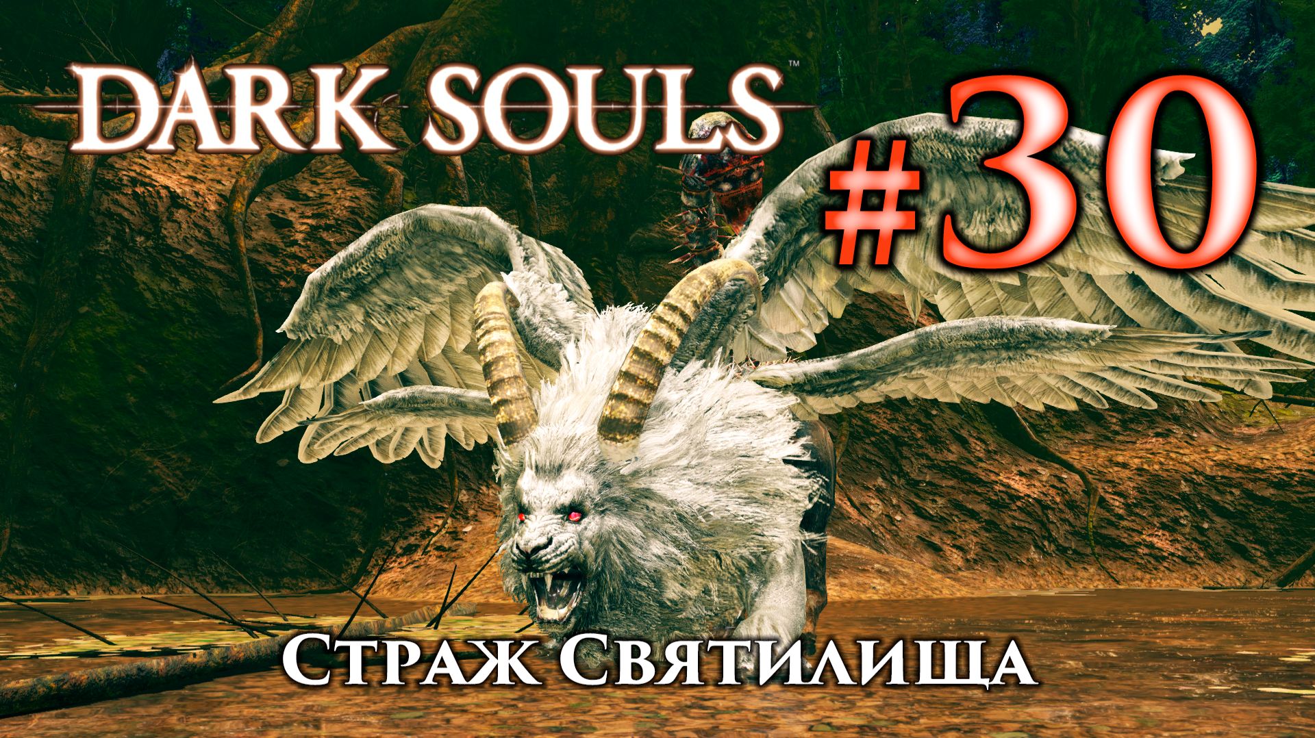 Cтраж Святилища: Dark Souls / Дарк Соулс - тактика как убить, как победить босса ДС