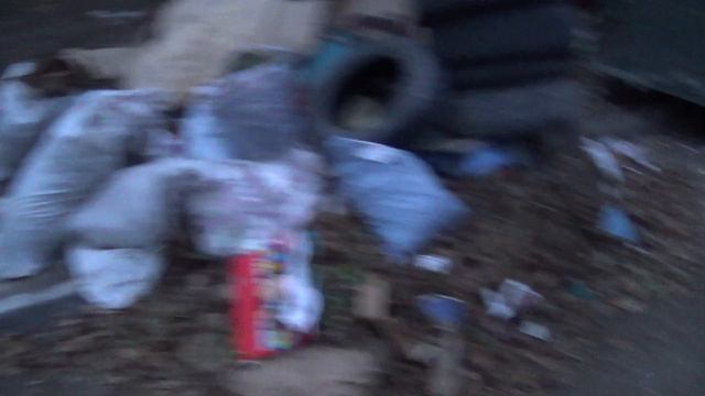 19 ноября 2025 г., 17:47:36 - 17:51:00 - осмотр незаконной помойки