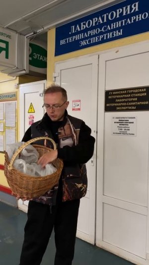 Грибочки из чернобыля.