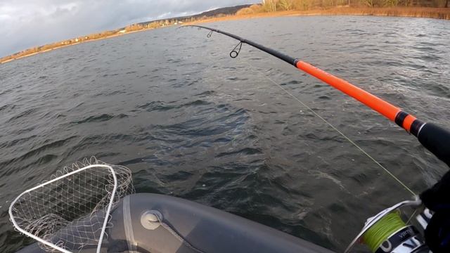 Осень 2025! (16)