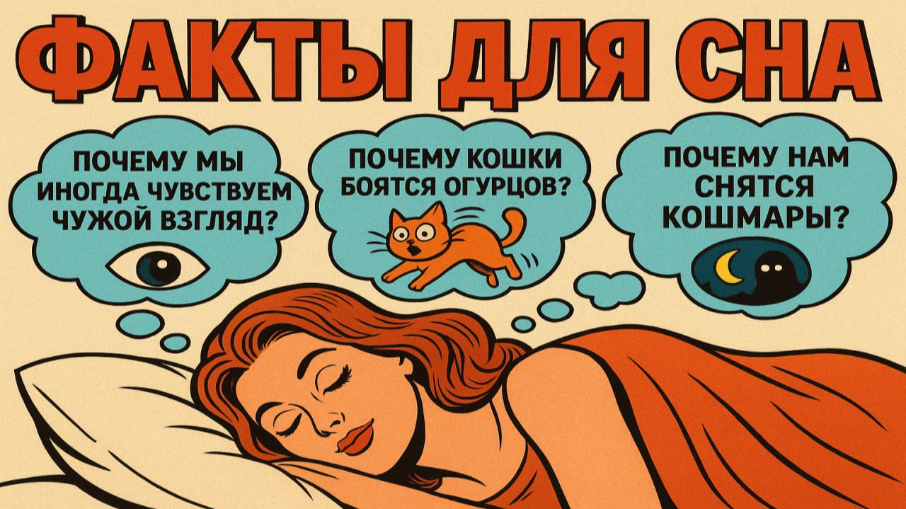 Факты чтобы быстро уснуть | Интересные факты на ночь для сна смотреть онлайн