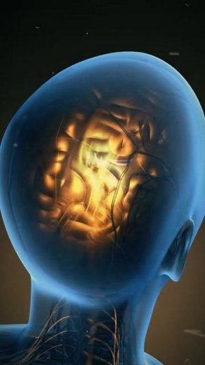 У кошатников словить шизу шанс намного больше #кошки #жуткиефакты