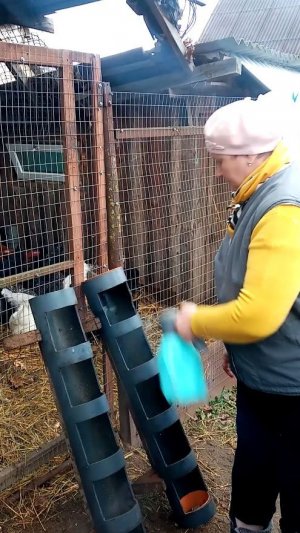 СРОЧНО сделай это для кур.