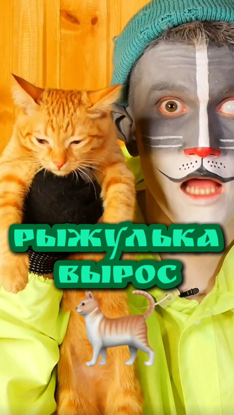 Кот Учёный и РЫЖУЛЬКА 🐈 смотреть онлайн