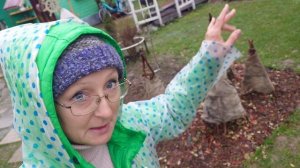 Видео привет с 6 соток 18 ноября 2025 года.