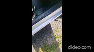 video5359735241101563500_Wf6J1V2o