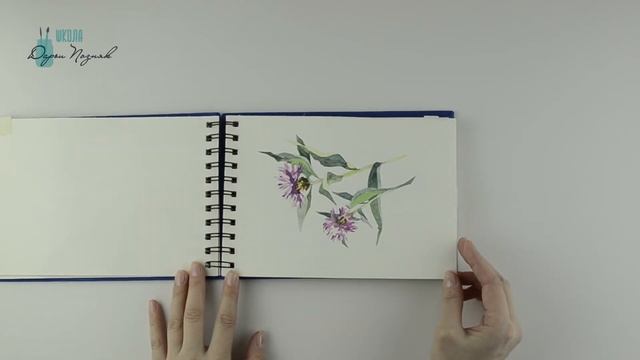 Мой акварельный скетчбук. смотреть онлайн