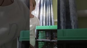 Алина зайка