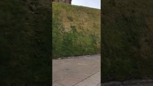 Ответ злопыхателям 19.11.25.