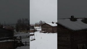 Сходил в магазин. Погода жесть.