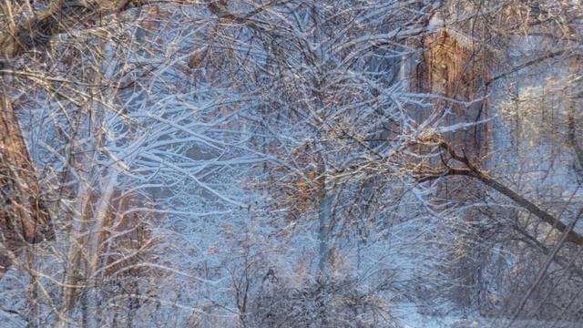 РАНО ВЫПАЛ СНЕГ... (Фото Ольги КУРАНОВОЙ (Н. Новгород) - Сергей ДРОЗДОВ и ВИА "СИНЯЯ ПТИЦА)" смотреть онлайн