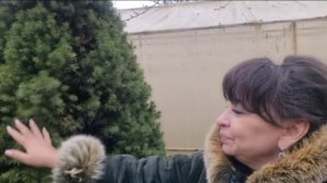 Не верить своим глазам. Срочные сборы и проводы. Что теперь здесь будет? Зачем мне вас обманывать?