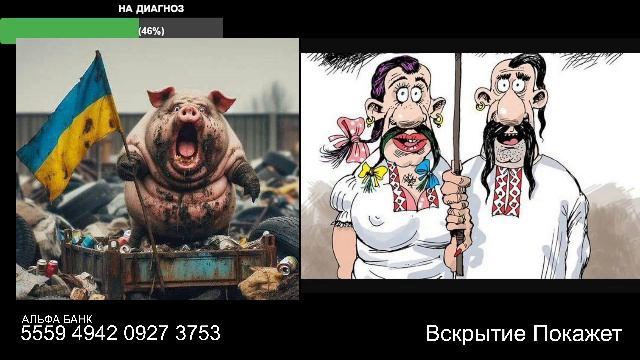 Стрим по сумеркам смотреть онлайн