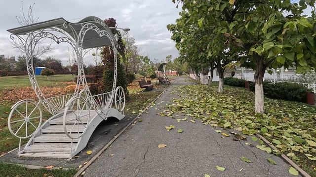 Осень в г Губкин