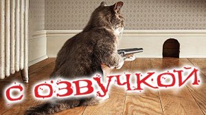 - ТАК ВОТ ОН КАКОЙ МОНСТР; С ОЗВУЧКОЙ; Приколы с котами;