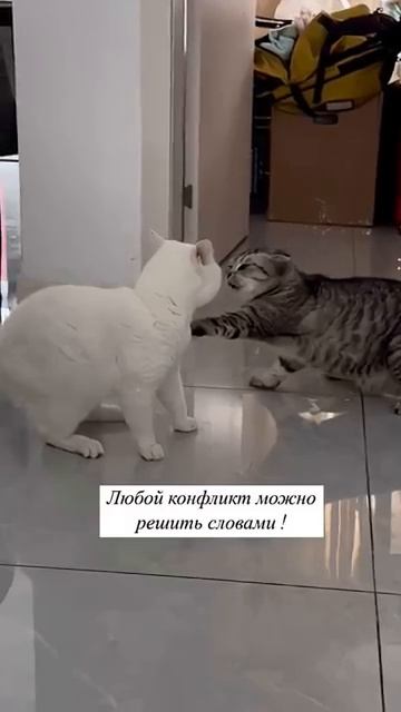 Она ему что-то сказала смотреть онлайн