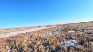 Лучшая охота на фазана 2025 Амурская область. Трудовая получилась охота