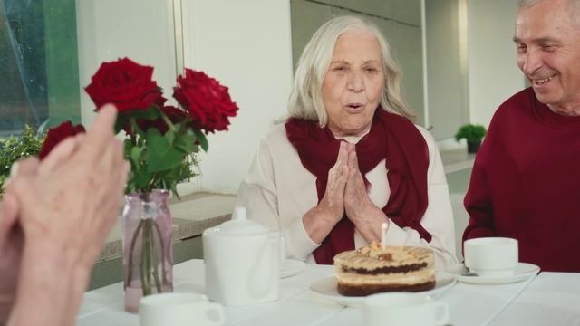 ВИГОР: частный пансионат комфорт-класса для пожилых людей смотреть онлайн