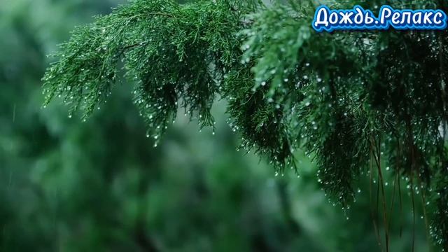 Дождь.Релакс. смотреть онлайн