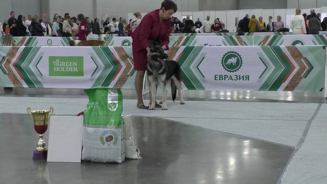 Каспер Кайс с Печатью Велеса смотреть онлайн