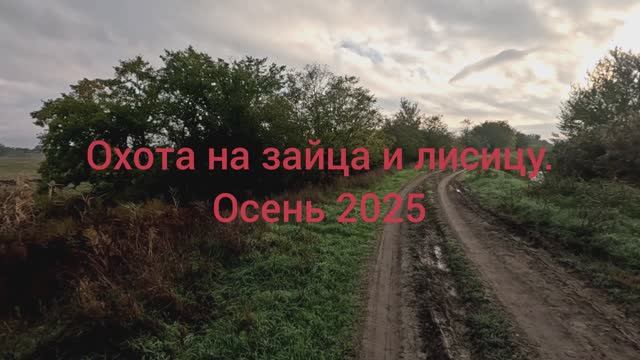 Охота на зайца и лисицу. Осень 2025