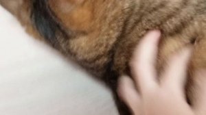 VLOG / Вечерний -влог с реборном Алиной ☺️ читаем книжки Рисуем Алину наш вечерок 👍