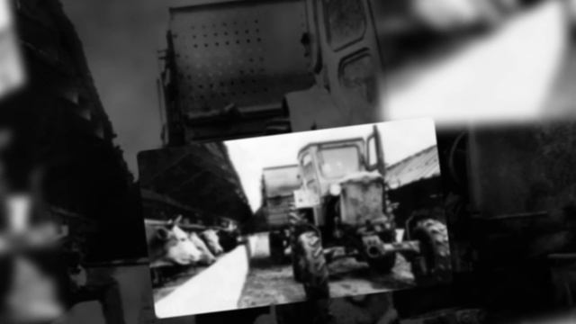 Видео с ожившими фотографиями