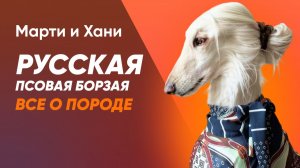 РУССКАЯ ПСОВАЯ БОРЗАЯ / ЧАСТЬ 1 / ВСЕ О ПОРОДЕ / СОБАКА ДЛЯ ОХОТЫ ИЛИ ДЛЯ КВАРТИРЫ? / КОМУ ПОДОЙДЕТ?