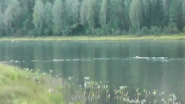 порыбачить на даче