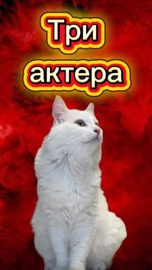 Ты любишь сериалы? 🤔