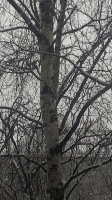 Заметает ноябрь заметает смотреть онлайн