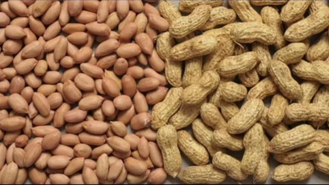 Польза арахиса. смотреть онлайн