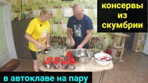 Консервы из скумбрии.