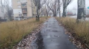 А ПОГОВОРИТЬ🍀 ВОТ ЭТО ЛИВЕНЬ 🙈