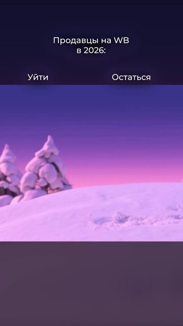 Это не физика, это характер #wildberries #wbселлер #продажинаwb #вббизнес