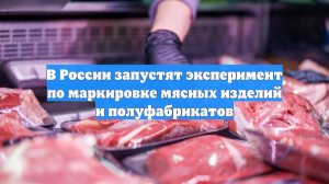 В России запустят эксперимент по маркировке мясных изделий и полуфабрикатов