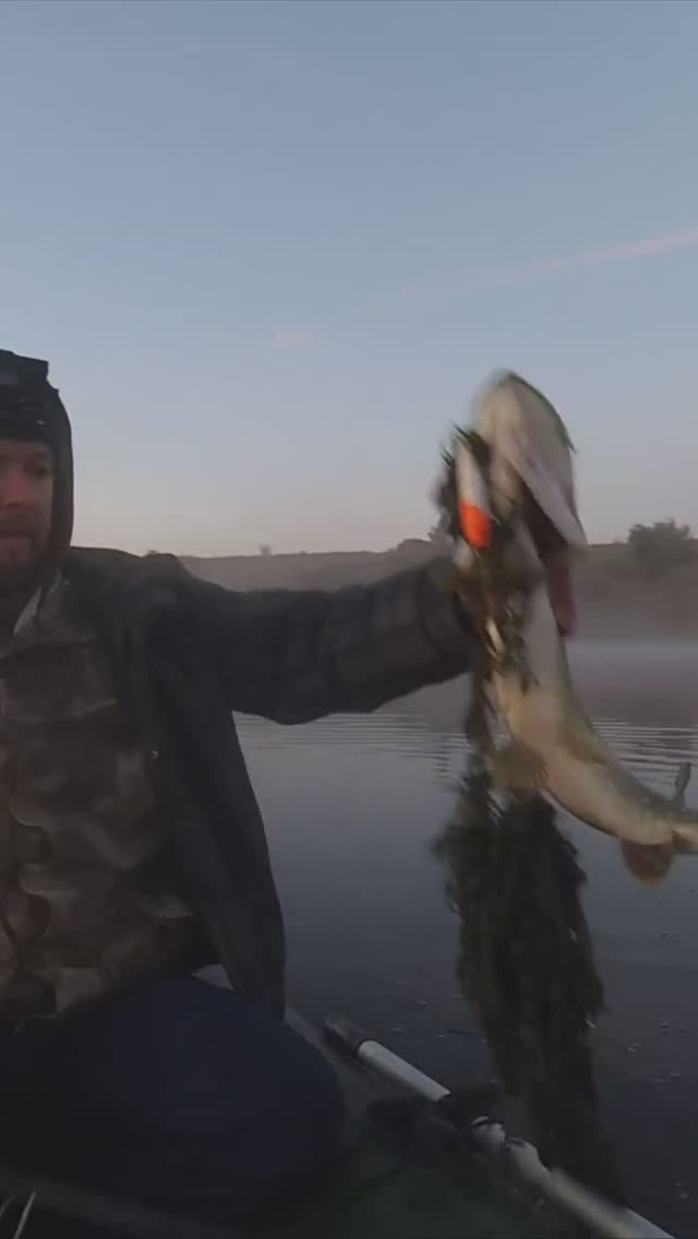 Красотка на поппер #shorts смотреть онлайн