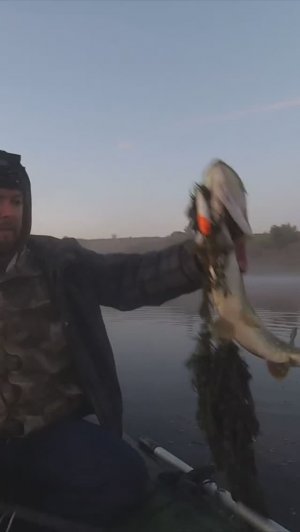 Красотка на поппер #shorts