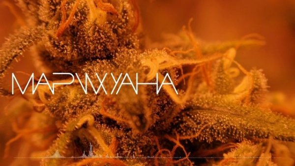 Марихуана (2.0)