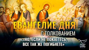 «…Но, если не покаетесь, все так же погибнете» / Евангелие дня