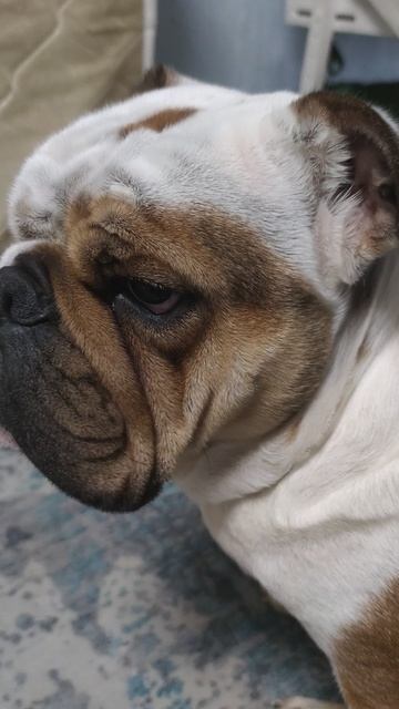 с новым годом смотреть онлайн