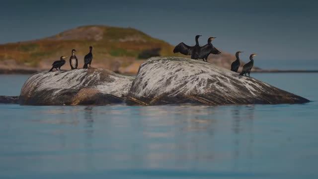 Самые потрясные кадры Земли в HDR Dolby Vision 4K (60 кадров в секунду) смотреть онлайн