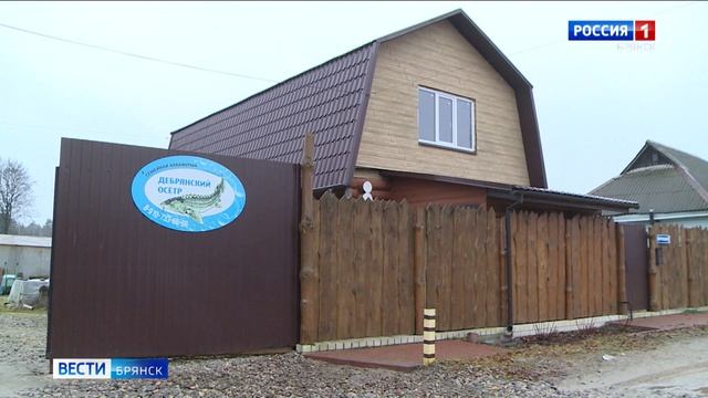 Как прошел первый этап программы "Брянске Герои - Обучение бизнесу" в репортаже ГТРК "Брянск" смотреть онлайн