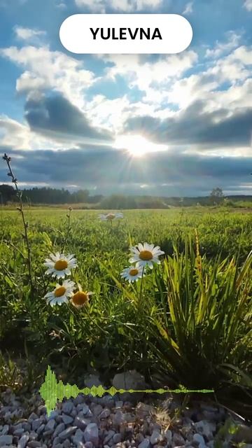 "С Днём рождения сыну"YULEVNA(Юлевна) Слова Лидии Захарчук смотреть онлайн