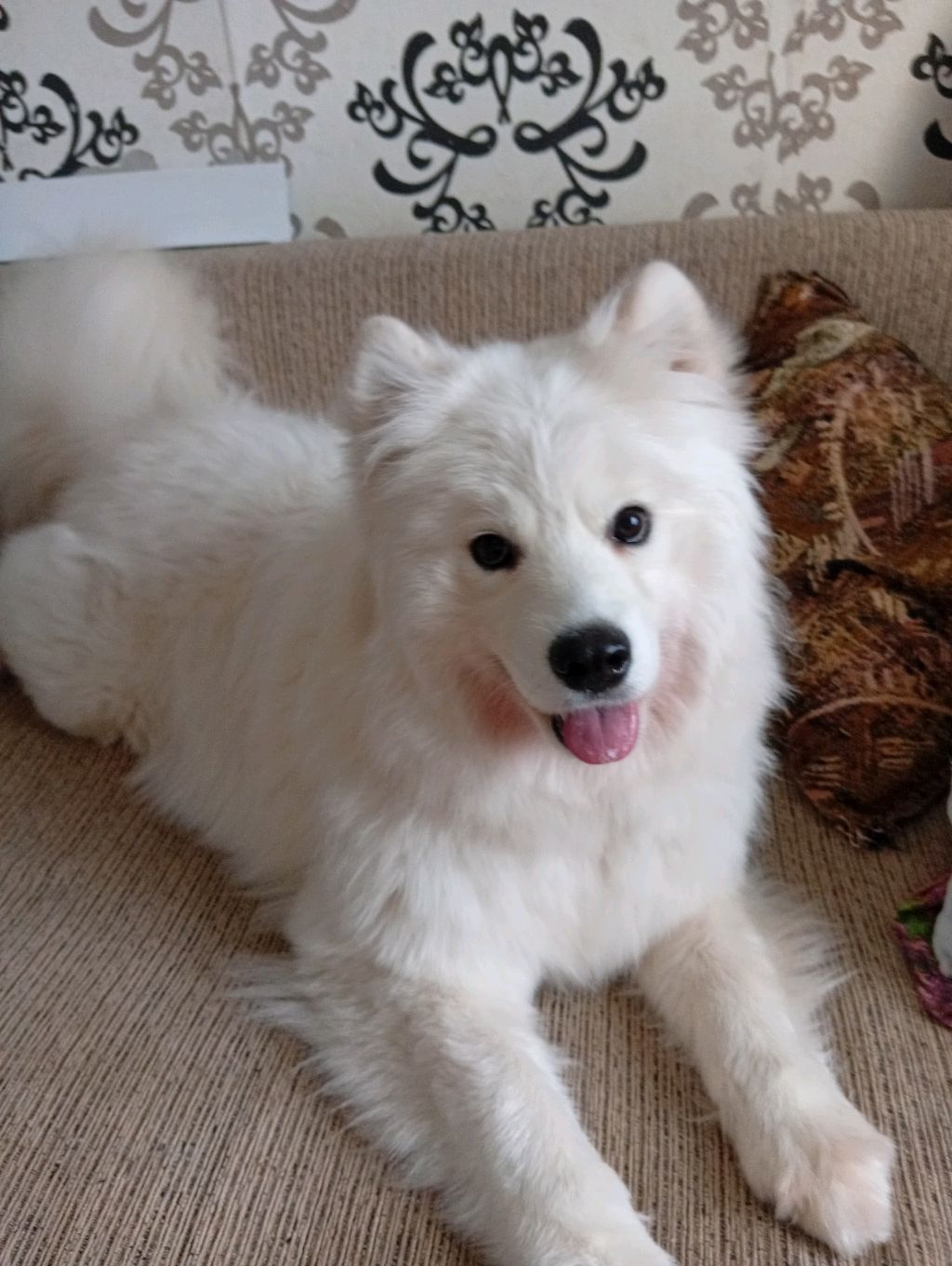 В ТУЛЕ? смотреть онлайн